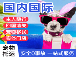 乌鲁木齐机场快运国际宠物托运 【国